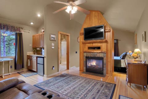 TV and multimedia, Coffee/tea facilities, Kitchen or kitchenette, Living room, Photo of the whole room, Decorative detail, Seating area, Mountain view