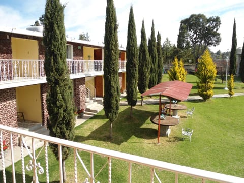 Bird's eye view, Garden