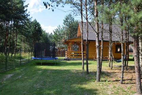 Zacisze Leśne- Domek do wynajęcia Chalet in Lviv Oblast