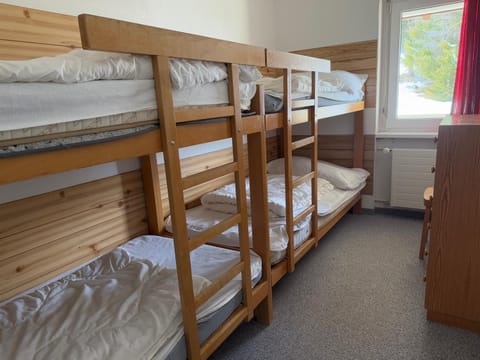 Bed, Photo of the whole room, Bedroom, bunk bed