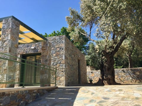 Ouzo Stone Studio Maison in İzmir Province