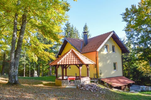 Spring, Day, Garden, Garden view