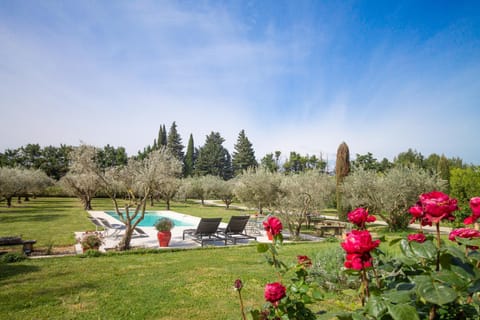Patio, Garden, Garden view