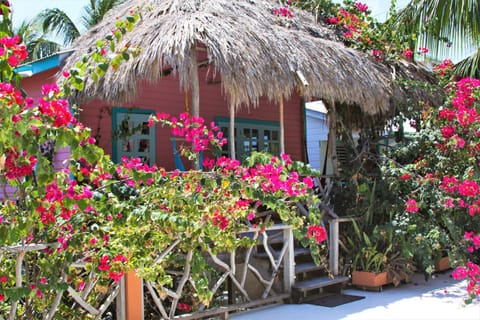 Sea Dreams Hotel Hôtel in Belize District