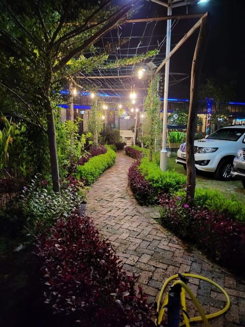 Night, Garden, Garden view