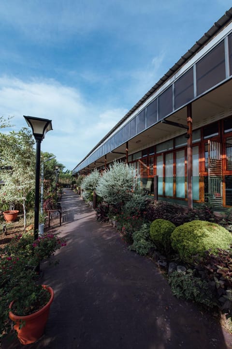 Day, Garden, Garden view