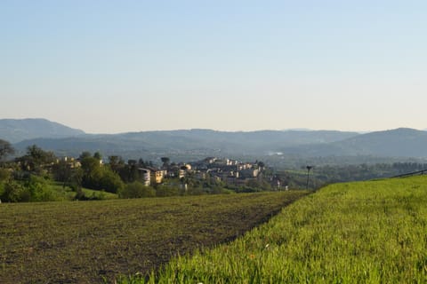 Neighbourhood, Natural landscape