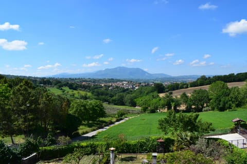 View (from property/room)