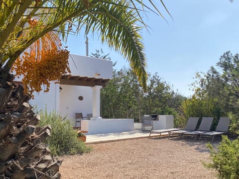 Ses Oliveres House in Formentera