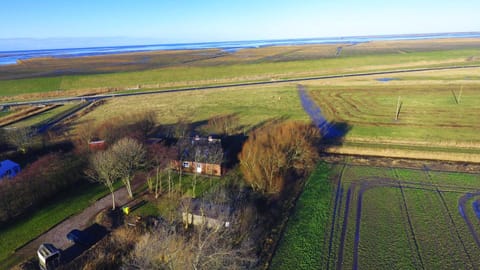 Property building, Bird's eye view