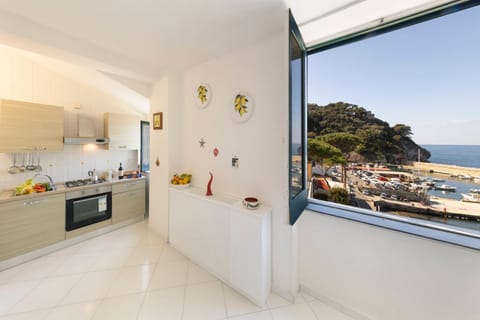 Kitchen or kitchenette, Sea view, pet friendly