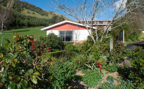 Spring, Garden, Garden view