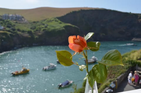 The Gallery Bed and Breakfast in Port Isaac