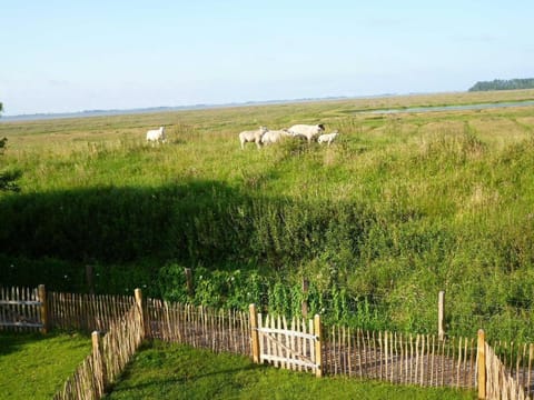 Graugans House in Nordfriesland