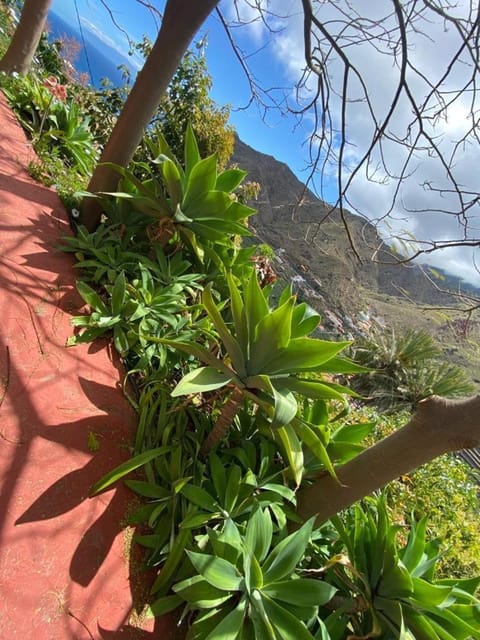 Los Corralitos House in La Gomera