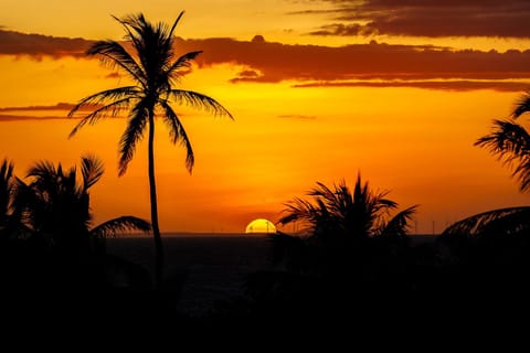 Property building, Natural landscape, Sea view, Sunrise, Sunset