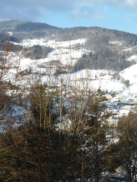 Natural landscape, Winter, Mountain view