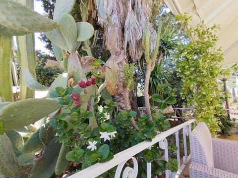 Casa di Lu’ Villa in Sicily