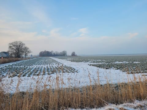 Nordseedeich Apartamento in Friedrichskoog