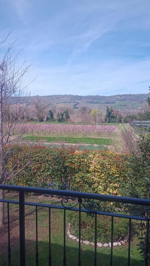 Natural landscape, View (from property/room), Garden view, River view, Seasons