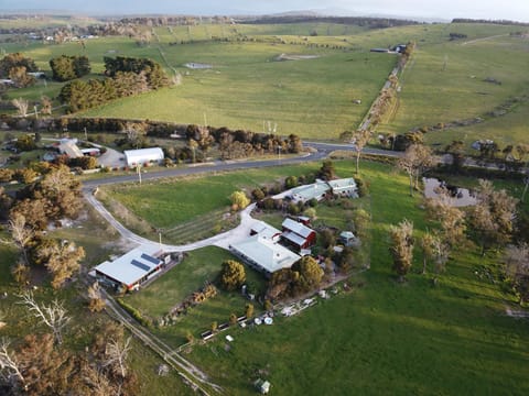 Platypus Park Country Retreat Natur-Lodge in Bridport