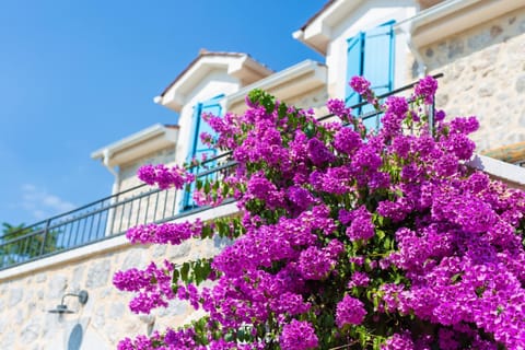 Property building, Balcony/Terrace, Garden view