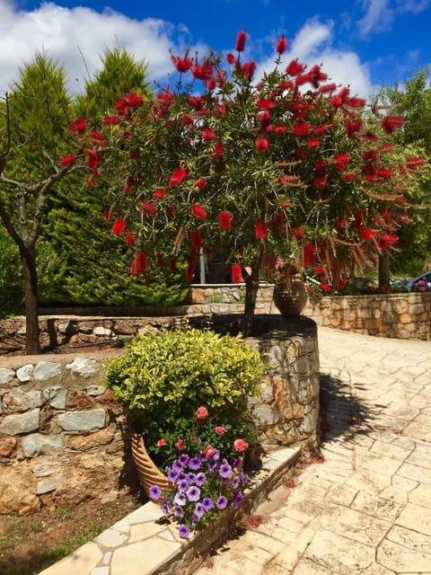 Mouses Apartments-Kardamyli House in Messenia