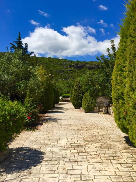 Mouses Apartments-Kardamyli House in Messenia