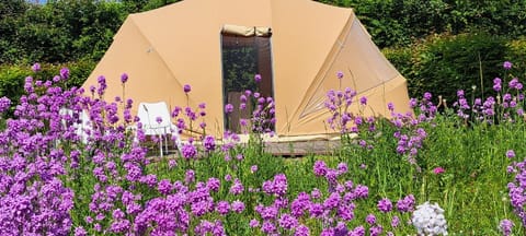 Ecochique Luxury tent in Flanders