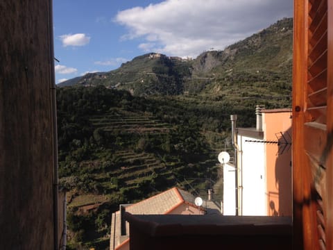 View (from property/room)