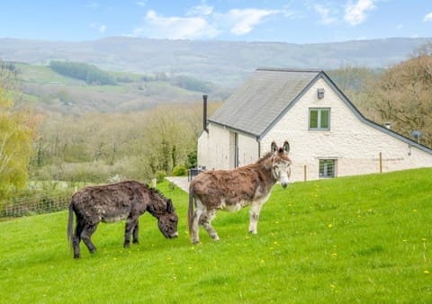 USK Barn Apartment in Wales