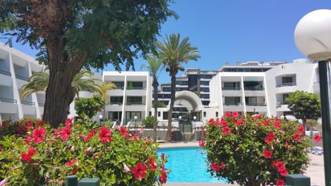 Property building, Pool view