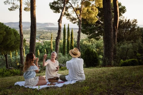 Spring, People, Natural landscape, Garden, group of guests