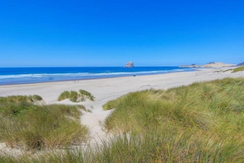 Sandpiper Cottage Casa in Pacific City