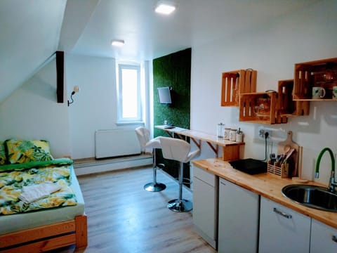 FurHouse Condo in Wroclaw