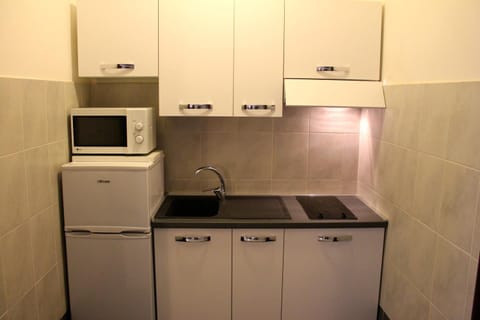 Kitchen or kitchenette, minibar, pet friendly, stove