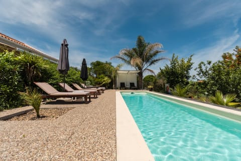 Garden, Garden view, Pool view, Swimming pool, Swimming pool, sunbed