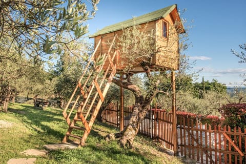 Children play ground, Garden