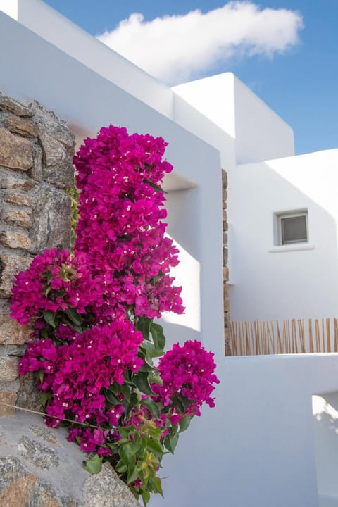 The Summit of Mykonos Bed and Breakfast in Decentralized Administration of the Aegean