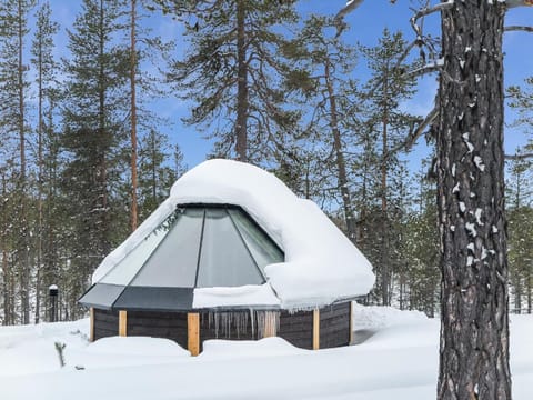 Holiday Home Arctic light hut by Interhome House in Lapland