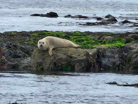Bay View House House in County Clare