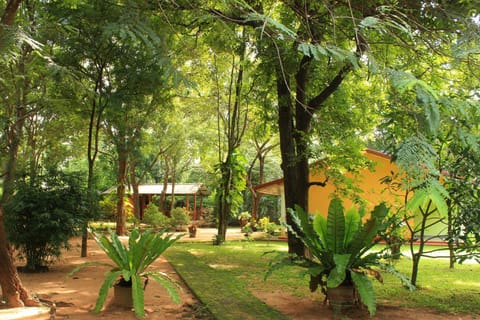 Gimhani Guest House Chambre d’hôte in Sri Lanka