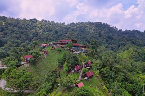 Day, Natural landscape, Bird's eye view, Mountain view