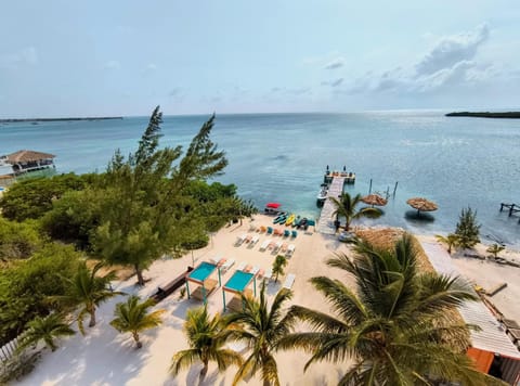 Day, Natural landscape, Beach