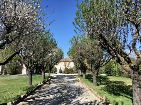 Facade/entrance, Garden