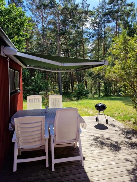 Patio, Garden, Garden view