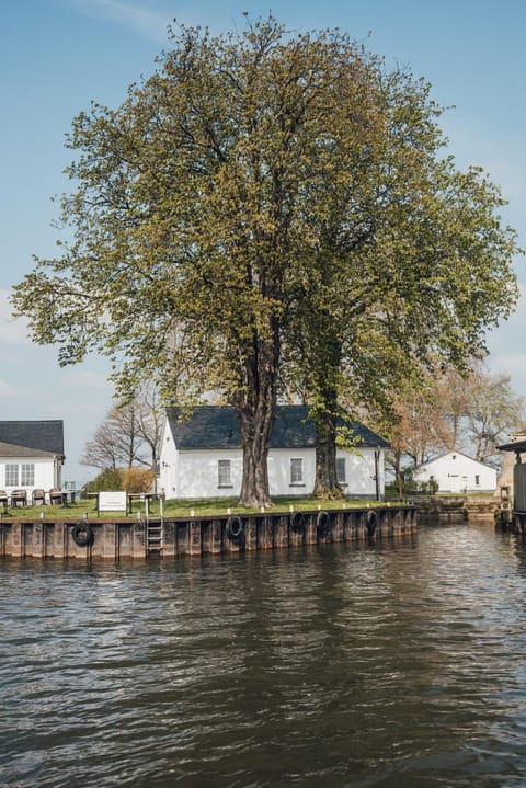 Property building, Natural landscape