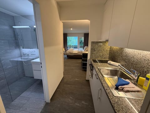 Bathroom, Kitchen or kitchenette, kitchen, kitchen