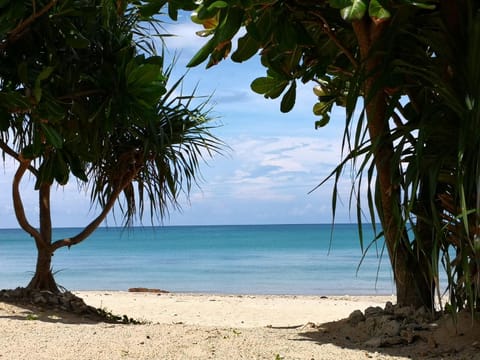 Beach, Sea view