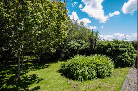 Garden, Garden view, Inner courtyard view